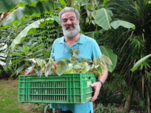 6. Voilà des bégonias !
